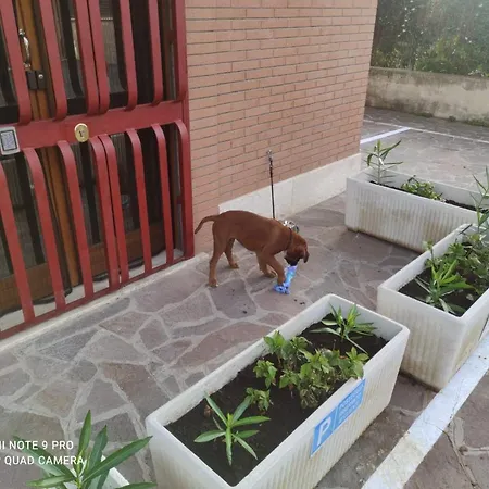 1 Рим